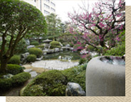 茶室「和松庵」